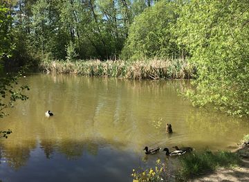 sweden/uppsala/attraction/fageldamm