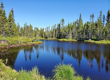 canada/saguenay-lac-saint-jean/attraction/parc-national-de-la-pointe-taillon