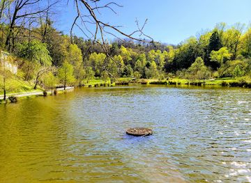 south-carolina/blue-ridge-mountains/attraction/rhododendron-lake-nature-park