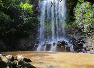 mauritius/black-river-gorges-national-park/attraction/bel-ombre-hiking-trail