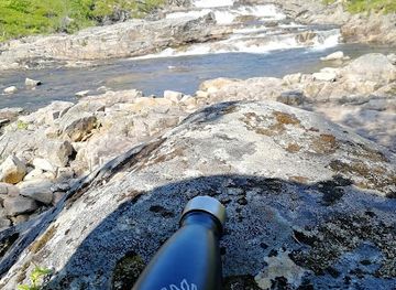 norway/senja-island/attraction/senja-husky-adventure-as