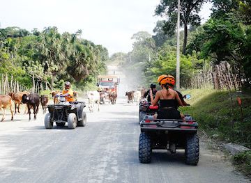 dominican-republic/puerto-plata/attraction/pop-excursions