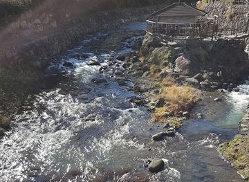 japan/izu/attraction/bamboo-forest-path