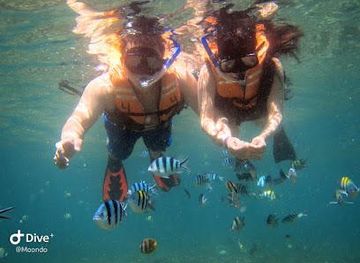 indonesia/bali/attraction/nusa-dua-water-sports