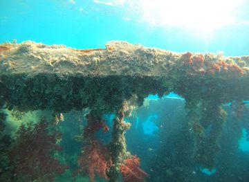 egypt/hurghada/attraction/safinat-gharqah