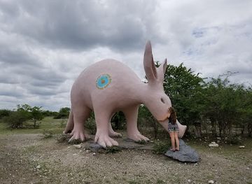 botswana/nxai-pan-national-park/attraction/aardvark