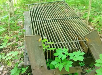 vermont/stowe-mountain-resort/attraction/kirchner-woods