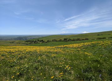 oregon/wasco-county/attraction/columbia-hills-historical-state-park