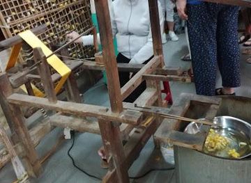 vietnam/tam-ky/attraction/dragon-travel-viet