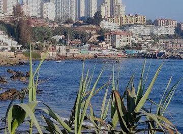 chile/valparaiso/attraction/concon