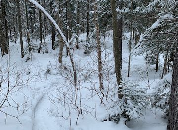 canada/lanaudiere/attraction/le-mont-des-cascades-parc-national-du-mont-tremblant-secteur-pimbina-saint-donat