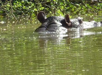 the-gambia/janjanbureh-island/attraction/janjanbureh-area-council