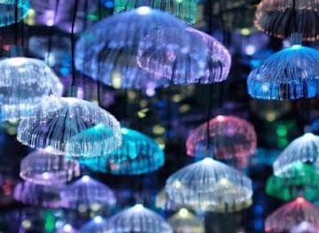 australia/melbourne/attraction/metartworld-world-s-largest-indoor-scrap-metal-art-gallery-guinness-world-record-holder-starry-sky-exhibition-vr-theme-park