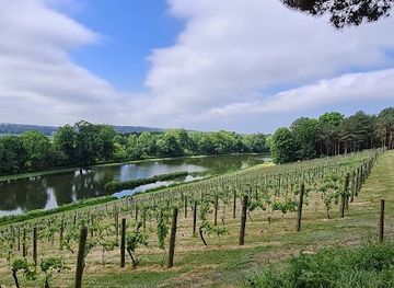 united-kingdom/london/attraction/historic-vineyard