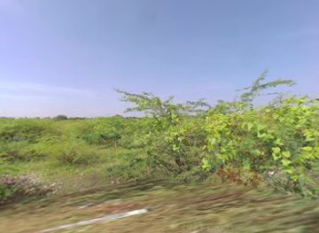 india/tamil-nadu/attraction/tamil-home