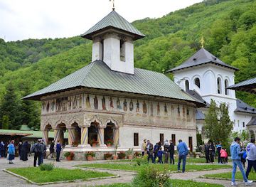 romania/gorj/attraction/defileul-jiului-national-park