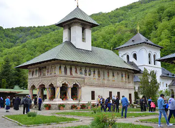 "Defileul Jiului" National Park