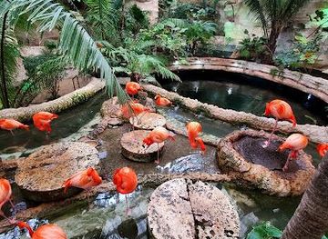 texas/dallas/attraction/the-dallas-world-aquarium