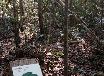 thailand/khao-yai-national-park/attraction/trail-no-3-km-33-nong-phak-chi