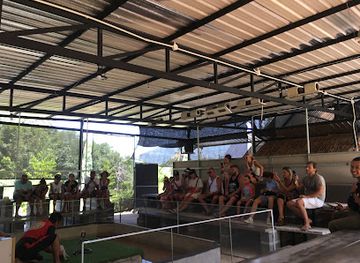 thailand/samui-archipelago/attraction/cobra-show-thailand