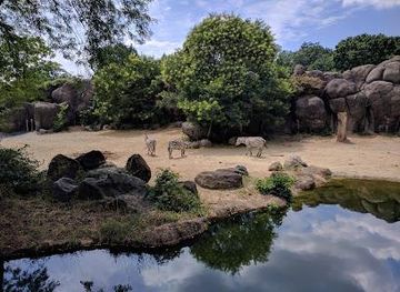 maryland/laurel/attraction/the-maryland-zoo-in-baltimore