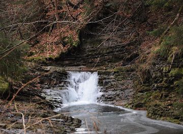 poland/silesian-beskids/attraction/skaly-grzybowe