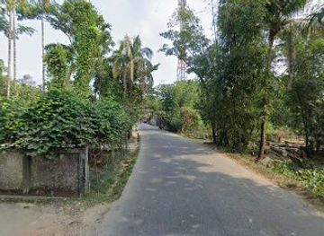 bangladesh/jaflong/attraction/tarek-pigeon-farm