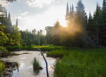 minnesota/voyageurs-national-park/attraction/locator-lake-trail