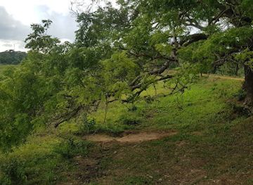 sri-lanka/anuradhapura-district/attraction/sinnikkulama-wewa