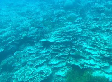 guam/tumon-bay/attraction/atlantis-submarine-guam