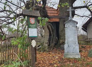 czechia/vysocina/attraction/klokocovska-lipa