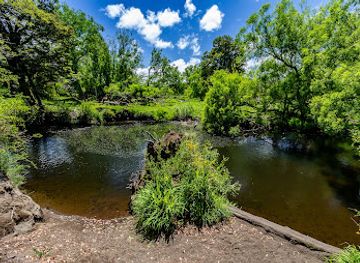 new-zealand/manawatu-wanganui/attraction/makotuku-track