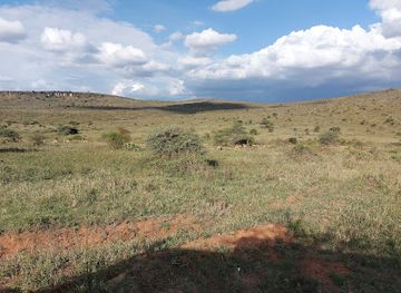 kenya/laikipia-plateau/attraction/loisaba-conservancy-headquarters-workshop