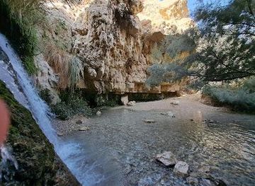 jordan/kerak/attraction/ein-gedi