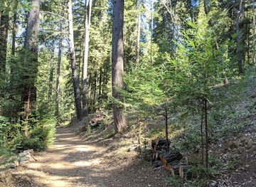 california/redwood-national-and-state-parks/attraction/soquel-demonstration-state-forest