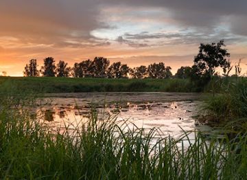 netherlands/zwolle/attraction/westerveld