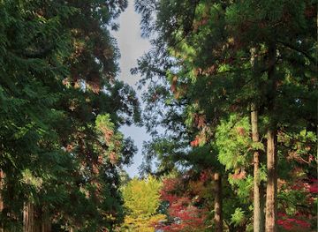 japan/tohoku/attraction/chuson-ji