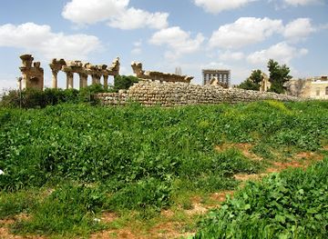 lebanon/bekaa/attraction/temple-of-bacchus