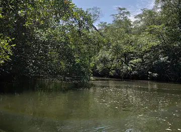 Tamarindo Wildlife Refuge