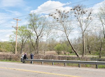 ohio/akron/attraction/great-blue-heron-viewing-area