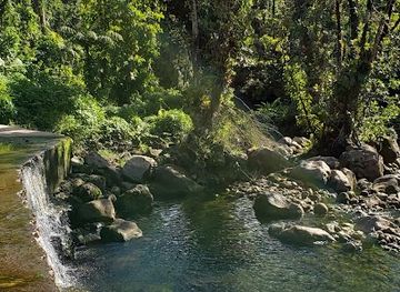 dominica/layou-river/attraction/trailhead-start-for-boiling-lake