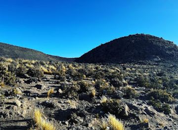 peru/tacna/attraction/tacna-park