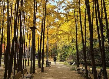 south-korea/seoul/attraction/seoul-forest-park