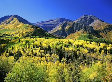 utah/wasatch-front/attraction/wasatch-adventure-guides