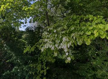 estonia/hiiumaa-island/attraction/saarnak-ou