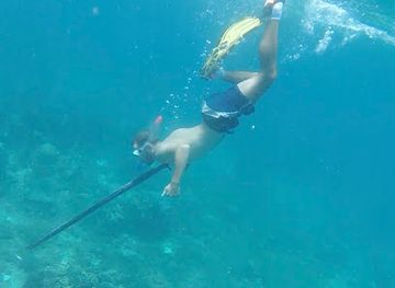 philippines/siquijor/attraction/siquijor-spearfishing