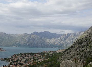 montenegro/zeta-plain/attraction/kotor-cats-museum