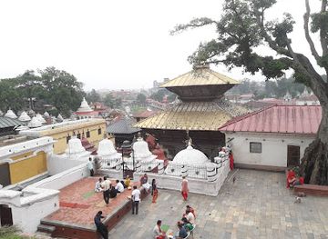 nepal/kathmandu/attraction/bhandarkhal-jungle