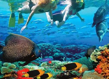 australia/cairns/attraction/gray-line-cairns-day-tours