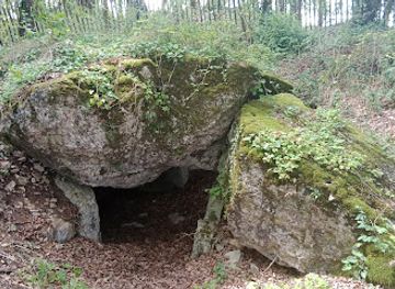 france/poitou-charentes/attraction/motte-de-la-garde